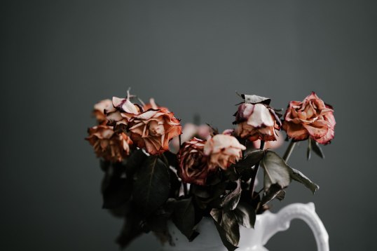 annie-spratt-592601-unsplash