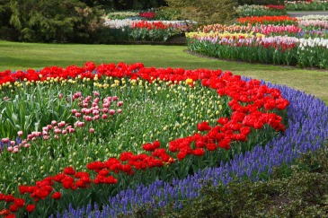 flower-garden-11291224875Iks