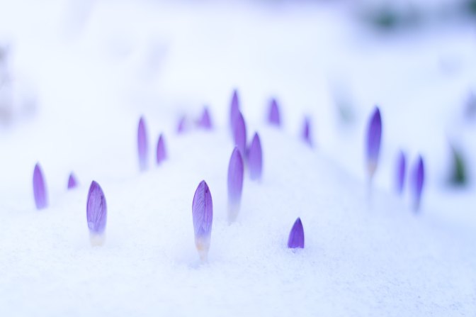 johannes-plenio-564230-unsplash