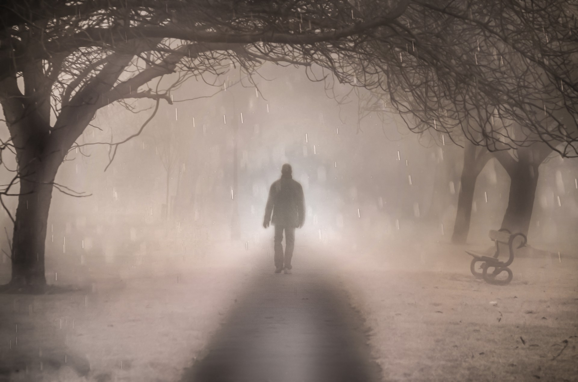 walk-in-the-fog